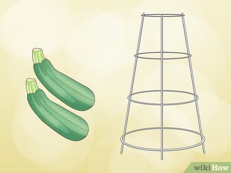 Vertical Zucchini Trellis, How To Grow Zucchini Vertically, Zucchini Trellis Ideas, Zucchini Trellis, Growing Courgettes, Growing Zucchini Vertically, How To Grow Zucchini, Grow Zucchini, Transplanting Plants