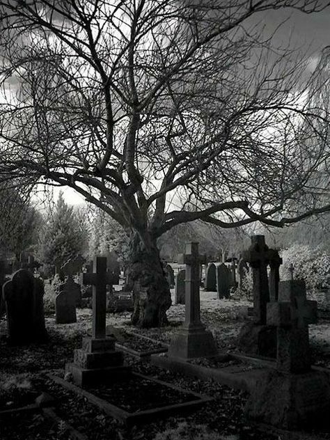 Black White Cemetery Aesthetic, Gothic Setting, Old Cemetery, Haunted Graveyard, Cemeteries Photography, Old Cemeteries, Cemetery Art, Scary Places, Gothic Aesthetic