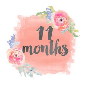 11 months onesie sticker 4 Month Old Baby, 4 Month Baby, Baby Month Stickers, Milestone Stickers, Month Stickers, 6 Month Old Baby, Baby Stickers, 4 Month Olds, Baby Album