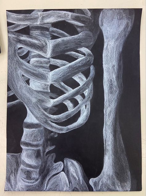 My art/my pic Rib Drawing Art, Ribcage Drawing Reference, Ribcage Sketch, Rib Cage Art, Ribs Drawing, Rib Cage Drawing, Skeletal Drawing, Skeleton Drawing, Skeleton Drawings