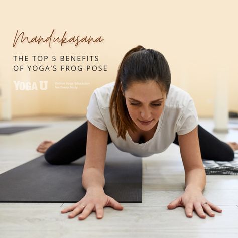 One of yoga’s most accessible hip opening poses, Frog Pose (Mandukasana), offers 5 sometimes surprising benefits for beginning and advanced yoga students.  https://yogauonline.com/yoga-practice-teaching-tips/yoga-for-beginners/the-top-5-benefits-of-yogas-frog-pose-mandukasana/  #yogapose #yogafrogpose #mandukasana #yogacommunity #meditation #yogateacher #yogapractice #yogaflow #yogini #namaste #yogaclass #onlineyoga #yogaday #yogaforall #yogaeverywhere Frog Pose Yoga, Frog Pose, Yoga Education, Yoga For All, Frog Sitting, Gymnastics Photos, Advanced Yoga, Sitting Position, Yoga Community