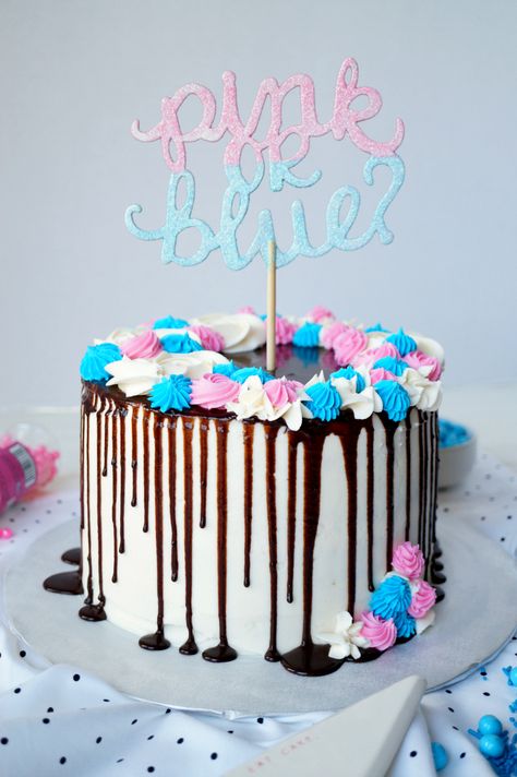 gender reveal piñata cake | The Baking Fairy Simple Gender Reveal Cake, Reveal Cake Ideas, Gender Reveal Cake Ideas, Piñata Cake, Gender Reveal Pinata, Creative Gender Reveals, Canned Butter, Pregnancy Milestones, Pinata Cake