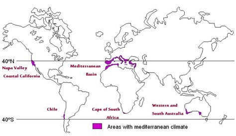 Wine regions with Mediterranean climates Mediterranean Climate, Rain Falling, Wine Map, Red Wines, California Coastal, Quick Reads, Wine Region, The Mediterranean, The Rain