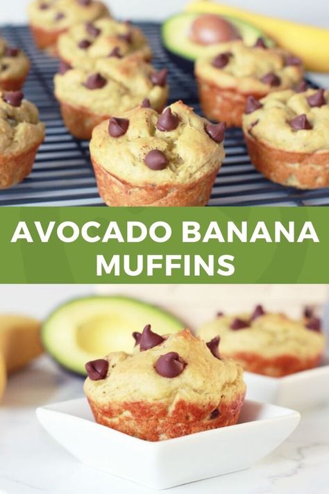 Avocado Banana Muffins, Avocado Muffins, Baby Muffins, Moist Muffins, High Protein Desserts, Super Healthy Kids, Banana Muffin Recipe, Avocado Banana, Protein Desserts