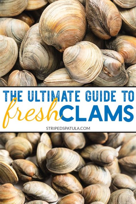 How To Cook Clams, Steamer Clams, How To Clean Clams, Fresh Clams, Fried Clams, Steamed Clams, Clam Sauce, Seafood Pasta Recipes, Clam Recipes