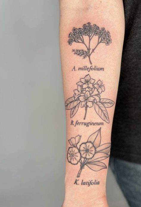 Plant Diagram Tattoo, Greenhouse Tattoo, Diagram Tattoo, Plant Diagram, Get A Tattoo, Some Ideas, I Tattoo, Tattoos For Guys, Geometric Tattoo