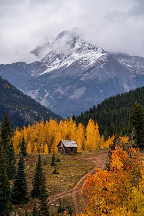 Tiny Wooden House, Pretty Landscapes, Backgrounds Wallpapers, A Cabin, Autumn Scenery, 7 Hours, Pretty Photos, Autumn Landscape, Wooden House