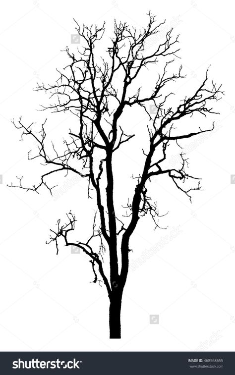 Silhouette Black Dry Tree Isolated On White Background. #tree #dry #dead… Dead Tree Tattoo, 숲 사진, Silhouette Tree, Background Tree, Landscape Architecture Graphics, Dry Tree, Cool Photoshop, Tree Beautiful, Mediums Of Art