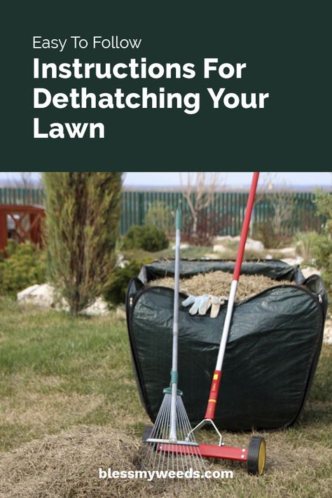 Leveling Lawn, Landscaping For Beginners, Mower Storage, Lawn Care Diy, Winter Lawn Care, Dethatching Lawn, Balcony Patio Ideas, Lawn Striping, Natural Lawn