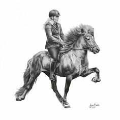 Horses Drawing, Native American Horses, Icelandic Horses, Horse Sketch, Icelandic Horse, Horse Drawing, Horse Drawings, Realism Art, Horse Photos