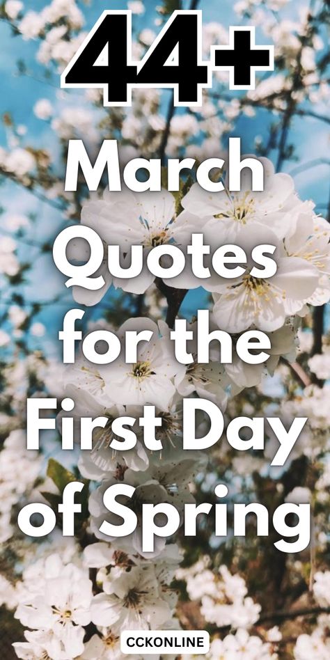 Spring is finally here! These March quotes celebrate the season of blooming flowers, warmer days, and fresh adventures. #MarchQuotesSpring #SpringVibes #MarchAesthetic #MarchQuotesFunny #MarchQuotes2025 #FirstDayofMarchQuotes #MarchQuotesInspirational #InspirationalMarchQuotes #InspirationalWelcomeMarchQuotes March Quotes Funny, Jo March Quotes, Month Of March Quotes, March Quotes Inspirational, Welcome March Quotes, Quotes For Spring, Goodbye February, Hello March Quotes, February Hello