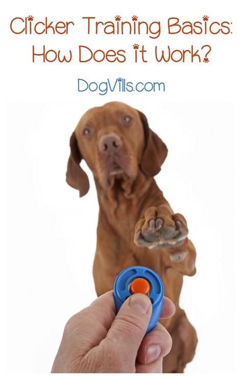 Dog Clicker Training, Easiest Dogs To Train, Basic Dog Training, Cesar Millan, House Training Dogs, Game Mode, Dog Training Techniques, Best Dog Training, Aggressive Dog