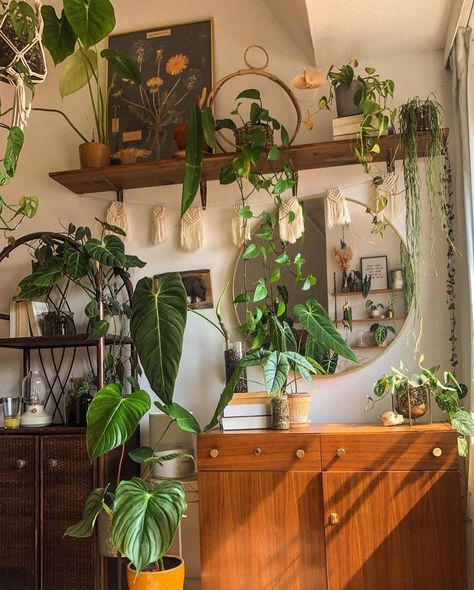 Rooms With Accent Walls, There Is Hope, Deco Retro, Plant Decor Indoor, Green Home, House Plants Decor, Green Home Decor, Room With Plants, Industrial Kitchen