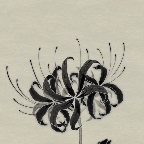 Japanese Spider Lily Drawing, Spiderlili Tattoo Black, Spider Lily Tattoo Design Black, Spiderlily Drawing Sketches, Black Spider Lily Tattoo, Spider Lily Tattoo Black, Dragon With Spider Lily Tattoo, Blue Spider Lily Drawing, Black Lily Tattoo