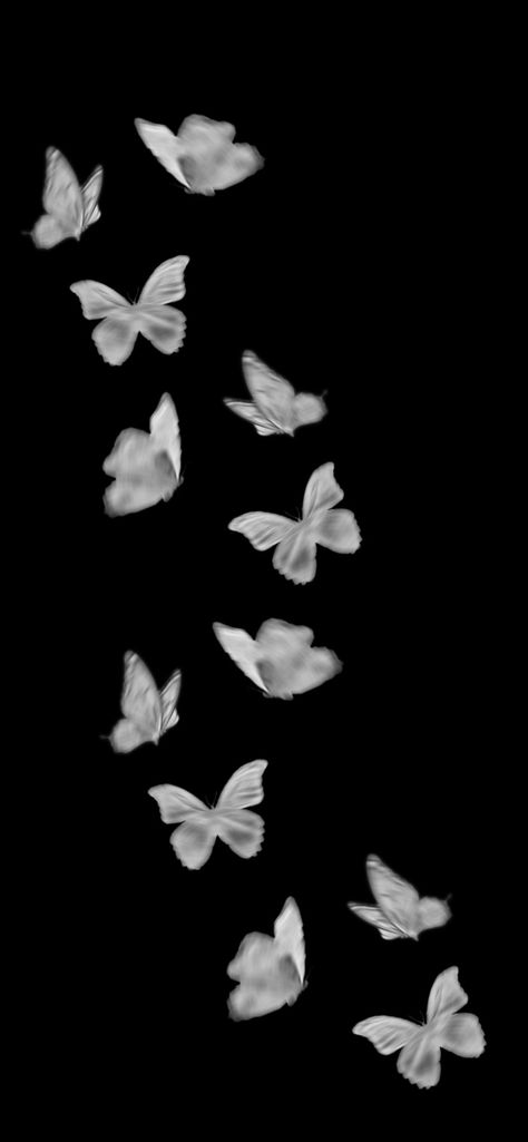 #wallpaper #picsart #iphonewallpapers #iphone #iphone11 #butterfly #butterflies Popular Wallpaper Aesthetic, Butterfly Nature Aesthetic, Butterfly Dark Wallpaper, Iphone11 Wallpapers, Black Homescreen Aesthetic, Butterfly Wallpaper White, Butterfly Flower Wallpaper, Blurry Butterfly, White Butterfly Wallpaper