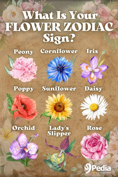 The 9 Flower Zodiac Signs And Their Meaning – What Is My Flower Sign? #flowersign #flowerzodiac #zodiac #flowertotem #flowerspirit #floralzodiac Zodiac Birth Flowers, Taurus Zodiac Flower, Pisces Birth Flower, Zodiac Flowers Birth Month, Flower Zodiac Signs, Birthflower Zodiac Tattoo, Gemini Flower Tattoo, Zodiac Flower Tattoo, Sagittarius Flower