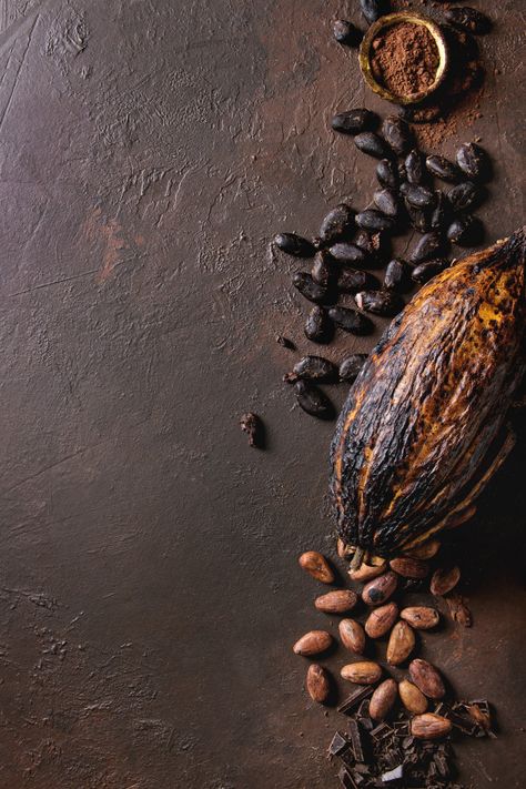 Cacao Photography, Cocoa Fruit, Cocoa Beans, Cocoa Nibs, Chocolate Art, Theobroma Cacao, Solid Color Backgrounds, Black Peppercorn, Exotic Plants