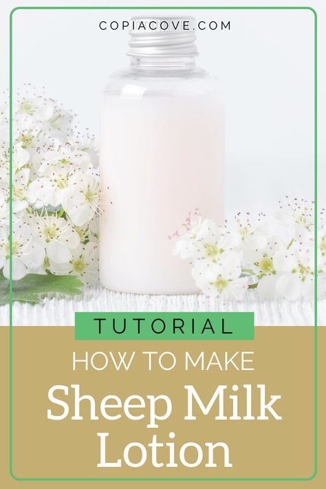 How to Make Sheep Milk Lotion - Copia Cove Icelandic Sheep | Butte Montana USA Body Lotion Recipes, Body Milk Lotion, Sheep Milk, Icelandic Sheep, Butte Montana, Milk Lotion, Human Milk, Lotion Recipe, Goats Milk Lotion