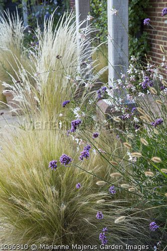 Whirling Butterflies, Coastal Hamptons, Coastal Interior, Prairie Garden, Coastal Gardens, Grasses Garden, Cottage Kitchens, Eero Saarinen, Coastal Interiors