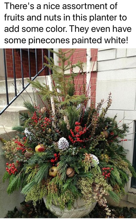 Fern Plants, Fern Plant, Xmas Ideas, White Painting, Pine Cones, Fern, Plants, Christmas