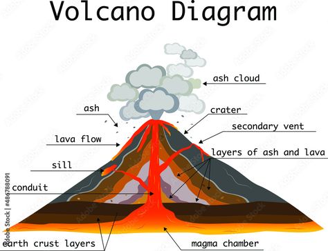 Volcanic Eruption Drawing Easy, Volcano Labelled Diagram, Volcano Project For Kids, Volcano Diagram, Parts Of A Volcano, Volcano Parts, Volcano Drawing, Volcano Projects, Magma Chamber