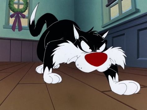 Looney Tunes Sylvester, The Looney Tunes Show, New Looney Tunes, Sylvester The Cat, Looney Tunes Show, Baby Looney Tunes, Merrie Melodies, Best Cartoons Ever, Looney Tunes Cartoons