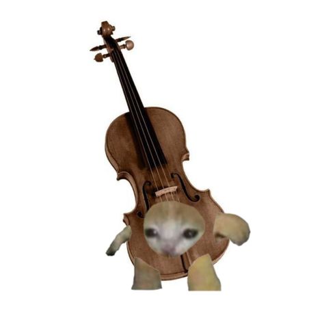 Cat Playing Flute Drawing, Cat With Violin, Organ Instrument Aesthetic, Violin Pfp, Violin Core, Violin Memes, Cat Cello, Cute Violin, Cello Aesthetic