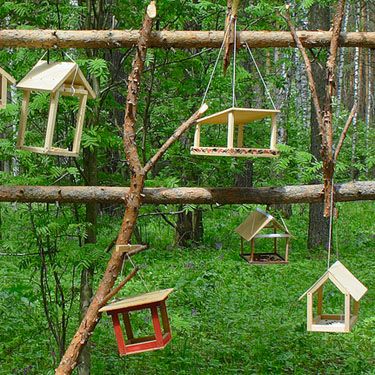 Ways To Hang Bird Feeders, Sunset House, Squirrel Proof Bird Feeders, Roof Overhang, The Key To Success, How To Attract Birds, Wild Bird, Key To Success, Bird Feeder