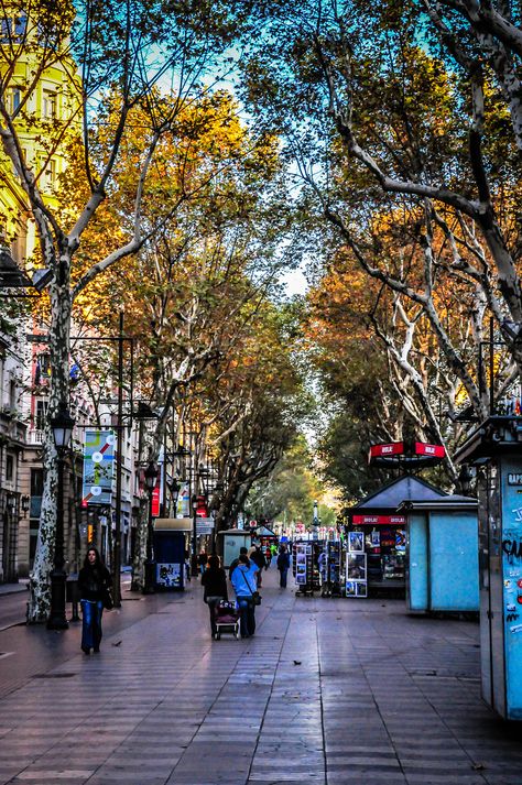 La Rambla pedestrian shopping mall street Barcelona Architecture, Spanish People, Places In Spain, Urban Landscape Design, Barcelona Travel, Spain Travel, Barcelona Spain, Best Cities, Oh The Places Youll Go