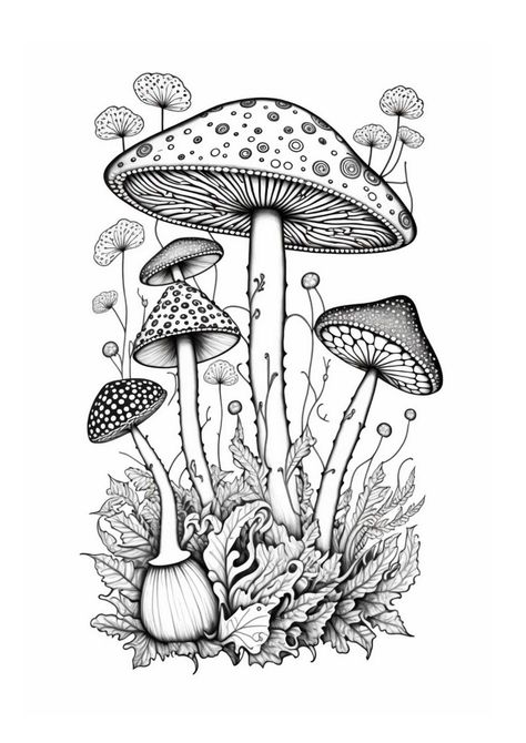 Mushrooms Coloring Pages, Mushroom Coloring Pages, Mushroom Coloring, Beautiful Pencil Drawings, Birth Colors, Mushroom Drawing, Black Paper Drawing, Detailed Coloring Pages, Nature Drawing