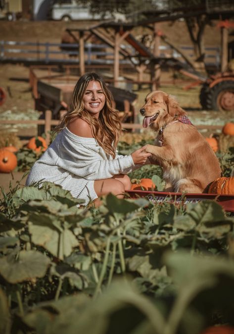 Family Dog Pictures, Fall Dog Photos, Golden Retriever Fall, Golden Retriever Photography, Pumpkin Patch Photos, Family Dog Photos, Rip Dog, Pumpkin Patch Photoshoot, Dog Golden Retriever