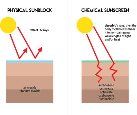 PHYSICAL SUNSCREEN vs CHEMICAL SUNSCREEN |What is best for our skin? - Mission BeYoutiful Blog Hormone Disruptors, Sunscreen Ingredients, Coral Reef Ecosystem, Physical Sunscreen, Chemical Sunscreen, How To Make Brown, Olive Skin, Deep Skin, Skin Care Steps