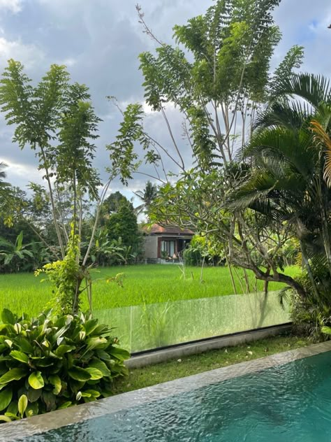 Bali villa ubud rice field Bali Ubud Villa, Bali Vila, Villas Design, Ubud Villas, Tropical House Design, Small Villa, Vision Pro, Bali Villa, Pool View