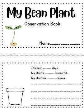 Use this simple observation and recording booklet for your K-2 students as they practice their scientific observation and recording skills. Planting and growing bean seeds are a great way for children to witness changes in their plant since they grow very easily and quickly. My students have even been able to produce flowers and new fruit from their bean seed. It's that easy!Each page contains a space to record:- a diagram of their plant- how many days since the seed has been planted- how many inches tall their plant is- how many leaves their plant has. - written observations to describe their plant in more detail. Check out my "Seed Observation" booklet in my TpT shop as an introduction to seeds and the parts of a seed. https://www.teacherspayteachers.com/Product/Seed-Observation-Booklet- Preschool Life Cycle Activities, Plants Life Cycle Activities, Parts Of A Seed, Growing Beans, Ag Education, Life Cycles Activities, Classroom Anchor Charts, Bean Plant, Plant Crafts