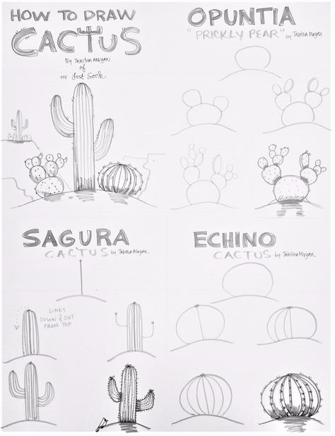 Remember what Mrs. Morgan says, "Draw light til' you know it's right, then go darker or use marker." Get this poster... Step By Step Cactus Painting, Cactus Art Lesson, Easy Desert Drawings, Watercolor Prickly Pear Cactus, Draw Cactus Step By Step, How To Draw Western Things, How To Draw A Cactus Step By Step, How To Draw Cactus, How To Draw A Cactus