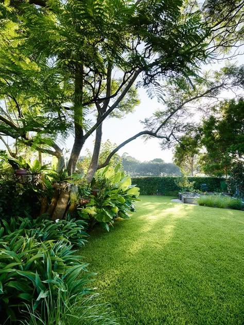 Australian House, Greenery Plants, Tropical Garden Design, Tropical Backyard, Australian Garden, Potager Garden, Tropical Landscape, Luxury Garden, Tropical Gardens