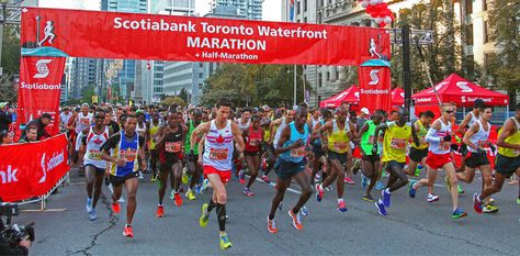 Can you handle all this fun? Event-filled weekend includes the waterfront marathon - 680 NEWS Toronto Waterfront Marathon, Ontario Place, Rowing Club, Running 10k, Fleet Street, 2023 Vision, Fun Events, 2024 Vision, Half Marathon