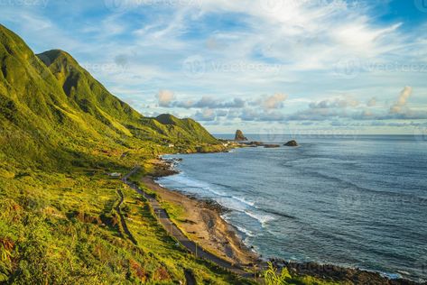 Taitung Taiwan, Free Stock Photos, Taiwan, Orchids, Royalty Free Stock Photos, Royalty, This Is Us, Royalty Free, For Free