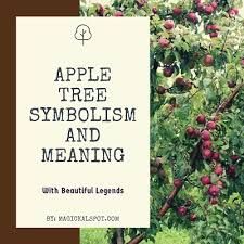 Apple Tree Symbolism and Meaning [In Different Cultures] Apple Symbolism, Witch Plants, Tree Symbolism, Apple Meaning, Tree Meanings, Sycamore Tree, Tree Spirit, Apple Trees, Fruit Gifts