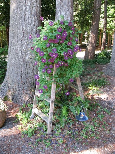 Stop tossing out old ladders. See 15 impressive ways to save them instead Tower Garden Diy, Small Front Yard Landscaping, Flower Tower, Garden Vines, Tower Garden, Have Inspiration, The Secret Garden, Garden Yard Ideas, Garden Cottage