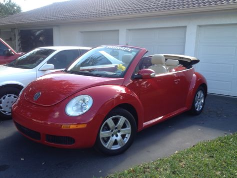 My punch buggy !  Today's version but mine is slate blue and also a convertible.  5th one of the newer style.  Luv Luv Cute Punch Buggy, Cute Buggy Car, Blue Punch Buggy, Bug Volkswagen, Punch Buggy, Red Beetle, Blue Punch, Volkswagen Beetle Convertible, Hippie Car