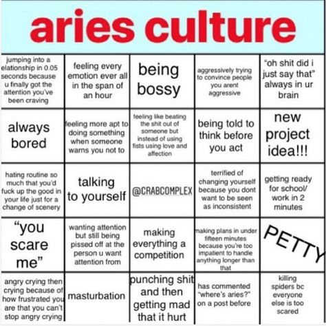 Aries Boyfriend, Aries Things, Aries Funny, Aries Personality, Aries Girl, Aries Aesthetic, Aries Quotes, Instagram Posting, Aries Traits