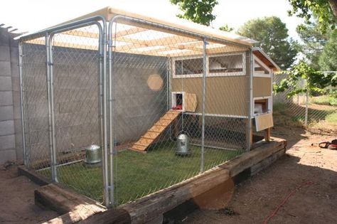 Our First CoopWe have 4 chicks about 4 weeks old now and they have taken over our laundry room... Raising Turkeys, Feathered Dinosaurs, Easy Chicken Coop, Portable Chicken Coop, Chicken Pen, Backyard Chicken Coop Plans, Chicken Tractors, Coop Ideas, Coops Diy