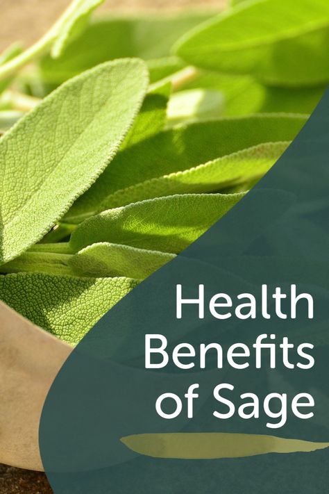 Sage health benefits Sage Health Benefits, Swallowing Problems, Sage Benefits, Sage Uses, Improving Memory, Burning Sage, Herbal Apothecary, Healing Plants, Health Planner