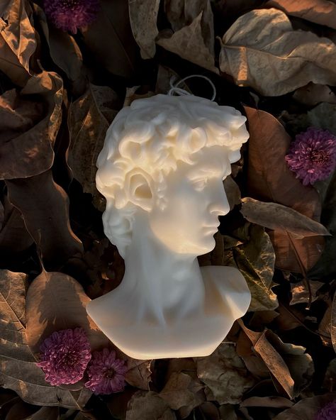 David bust candle _ bigger version 🫶🏻💕 #davidbust #davidcandle #artsstudent #architectlife #statue Bust Candle, David Bust, Candle Maker, Designer Candles, Autumn Theme, This Is Us, Statue, Photography, Quick Saves