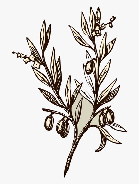 Olive Tree Tattoo, Olive Tree Tattoos, Olive Tree Branch, Tattoo Free, Branch Drawing, Wifi Icon, Olive Wreath, Symbol Drawing, White Branches