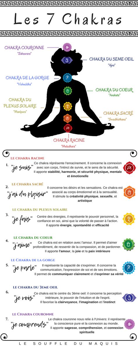 Les Chakras, c’est quoi? – Le Souffle du Maquis Swadhisthana Chakra, Yoga Chakras, Chakra Meanings, Vishuddha Chakra, Chakras Meditation, Manipura Chakra, Anahata Chakra, Dreams And Goals, Healing Spirituality