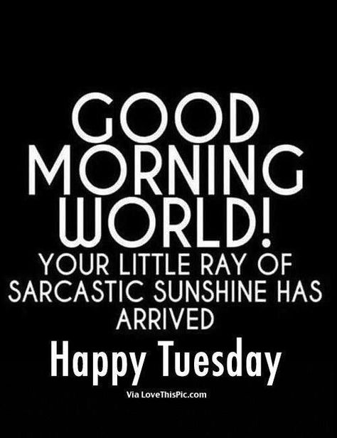 Happy Tuesday Cynical Quotes, Funniest Quotes Ever, Funny Good Morning Memes, Sarcasm Funny, Funny Good Morning Quotes, Sarcasm Quotes, Morning Quotes Funny, Good Morning World, Good Morning Funny