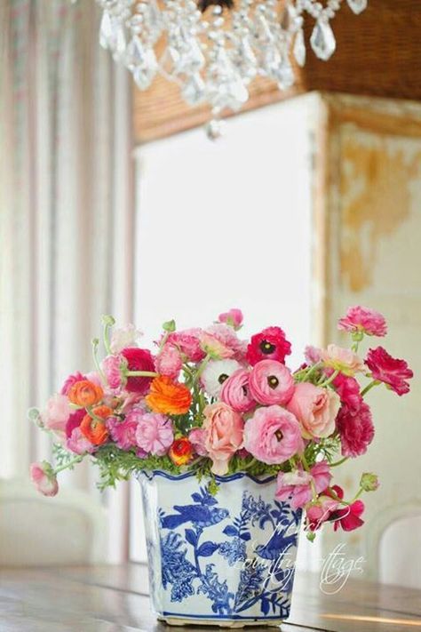 gorgeous, colorful ranunculus in a blue and white Chinese planter Bouquet Champetre, Blue White Decor, White Pot, Blue And White Vase, Shabby Chic Interiors, White Plants, White Vase, Blue And White China, French Country Cottage