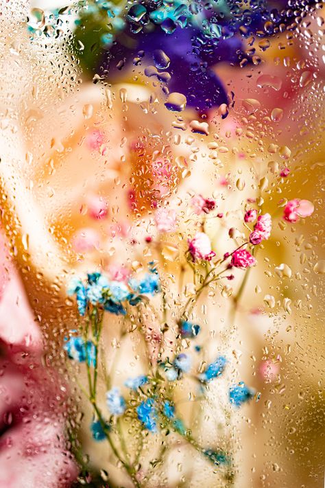 Wet Window Wallpaper, Flower Water, Wet Flowers Behind Glass Wallpaper, Summer Flower Background, Flowers Under Wet Glass Wallpaper, Flowers Through Condensed Glass Wallpaper, Wet Flowers Wallpaper, Flowers Behind Glass Wallpaper, Flower Behind Glass Wallpaper